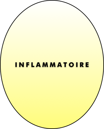 INFLAMMATOIRE